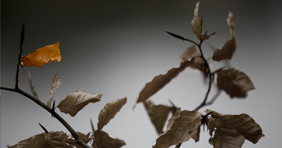 id-classes-css-html-How-you-usually-do-and-how-you-should-do-it ID vs Class