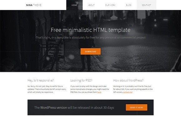 Nina free responive web template html css Nina