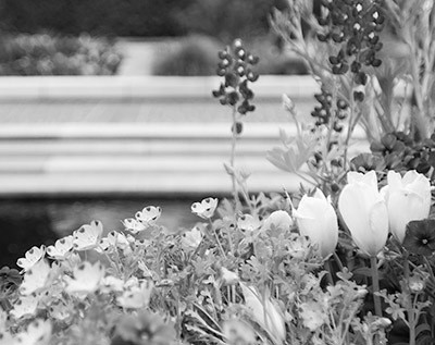 Photoshop Tutorial Black and White Photos with ACR 7 Photoshop Tutorial Black and White Photos with ACR 7