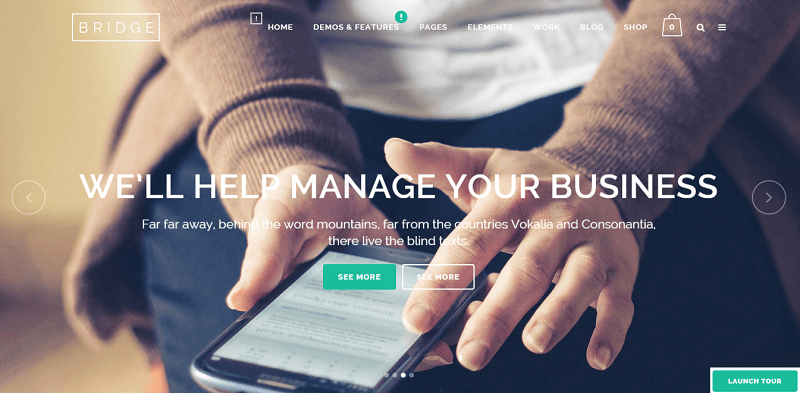 2015_06_30_15_54_52_Bridge_Creative_Multi_Purpose_WordPress_Theme