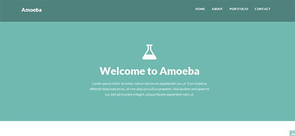 Amoeba free responive web template html css Amoeba