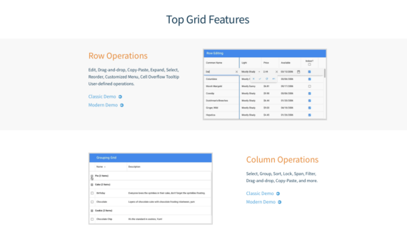 Sencha Top Grid features