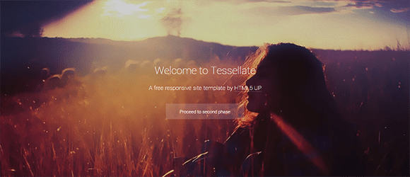 Tessellate free responive web template html css Tessellate